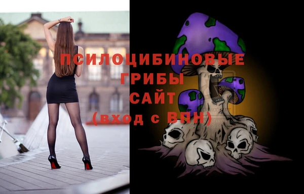 прущие грибы Нефтекумск