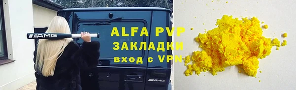 прущие грибы Нефтекумск