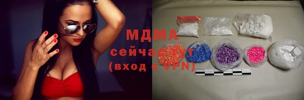 прущие грибы Нефтекумск