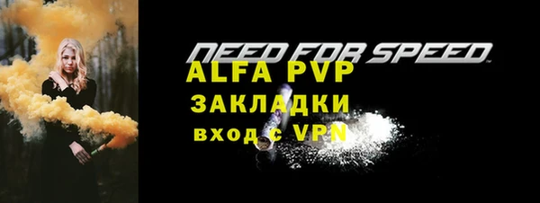 прущие грибы Нефтекумск