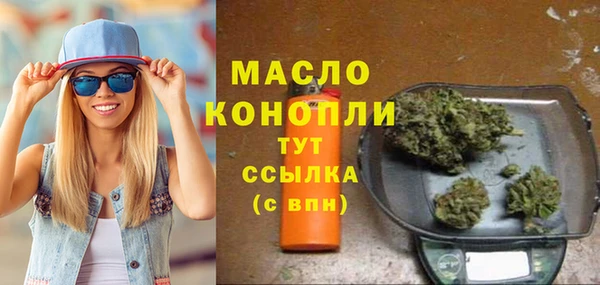 индика Новокубанск